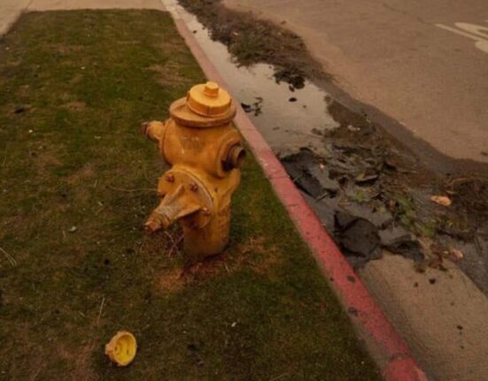 Pacific Palisades Fire Sparks Hydrant Crisis Amid Extreme Demand